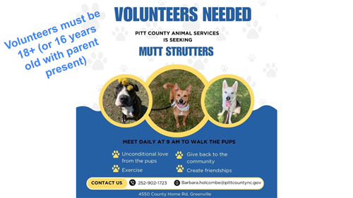 Mutt Strutt